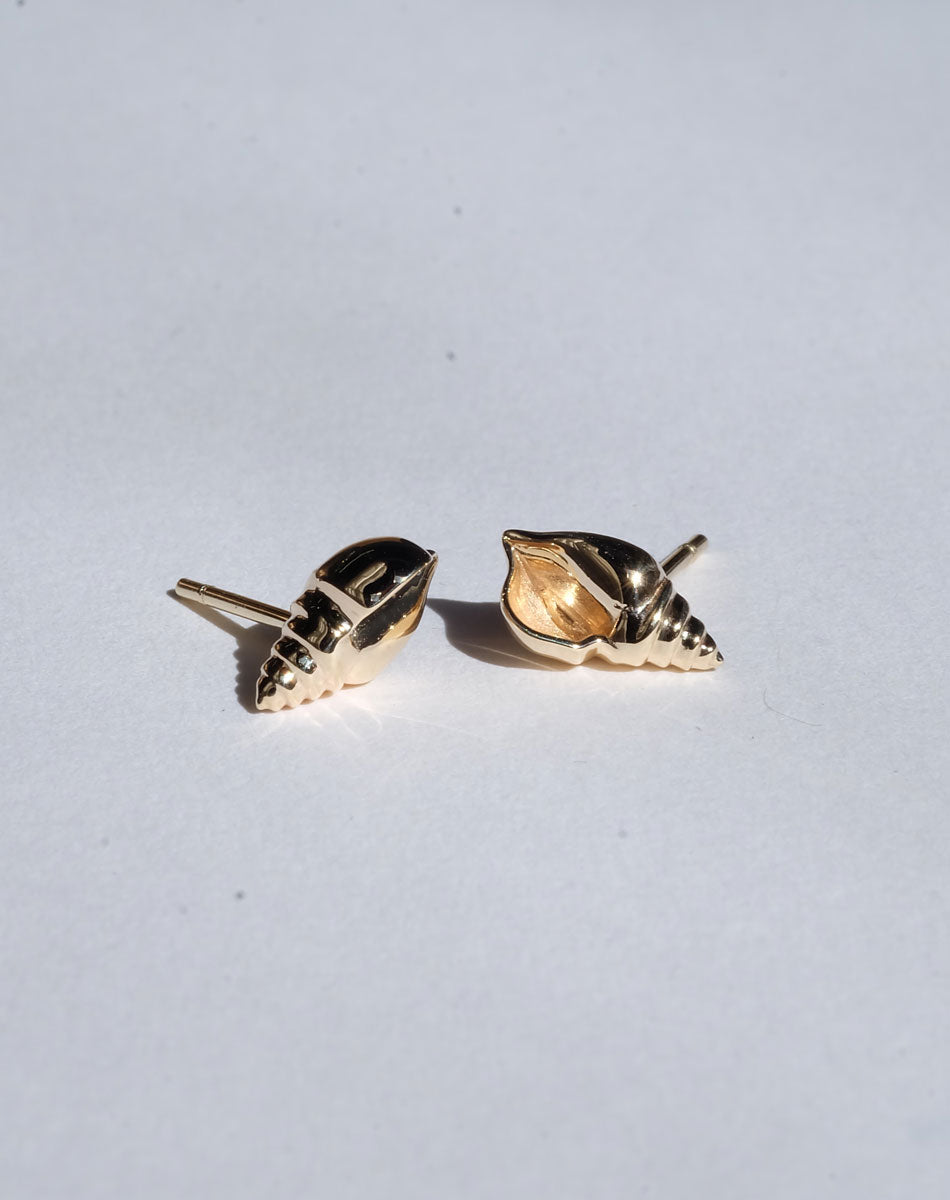 Conch Stud Earrings | 9ct Solid Gold