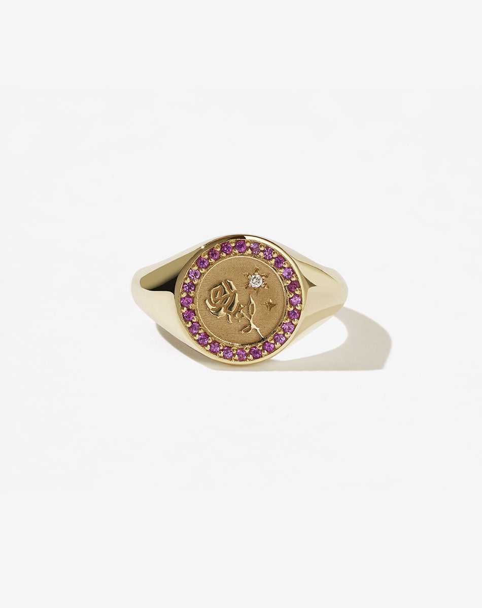 Amulet Love Signet Ring Pave | 9ct Solid Gold